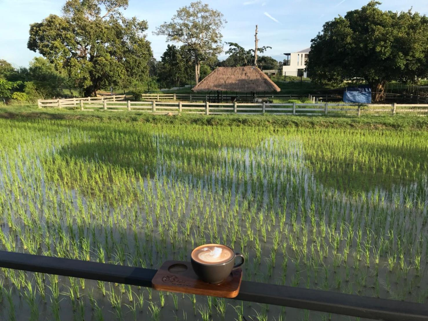 Mae On Village Resort 黎逸府 外观 照片